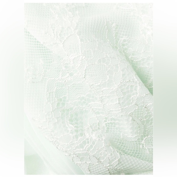 Self-Portrait Mint Chiffon and Fine Lace Pleated Dress - Picture 5 of 13